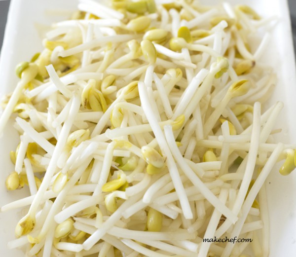 soya bean sprout